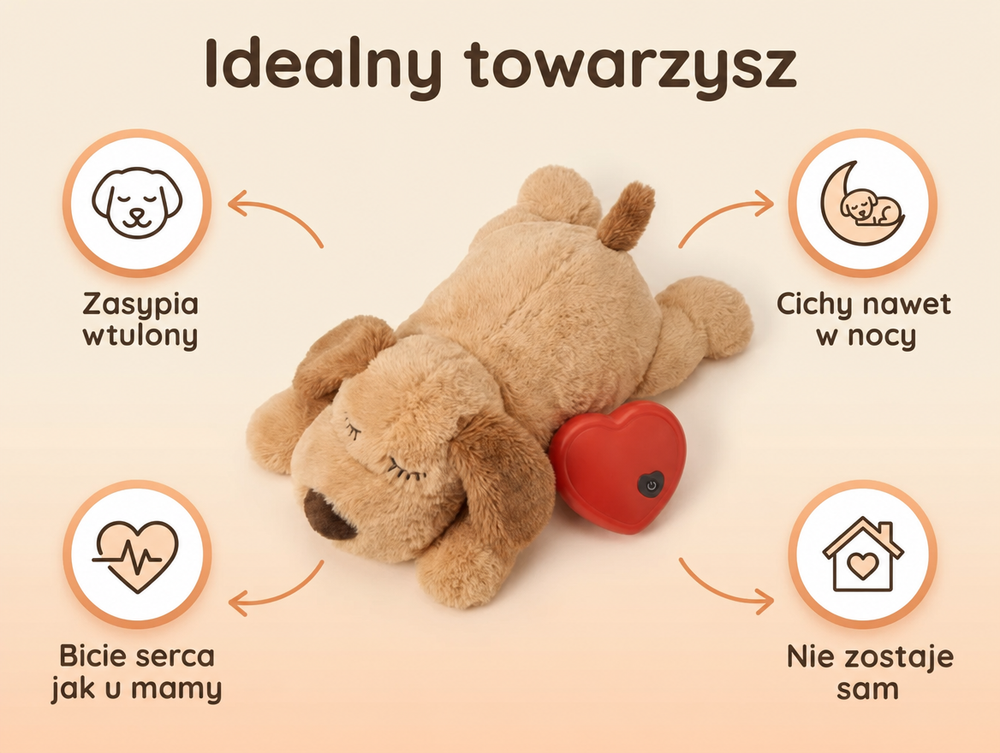 Rytm, który zna od pierwszego dnia