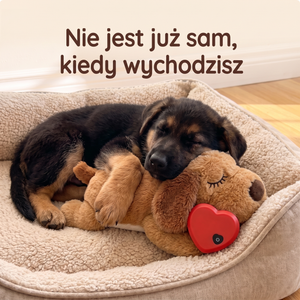 Pies wtulony w pluszaka