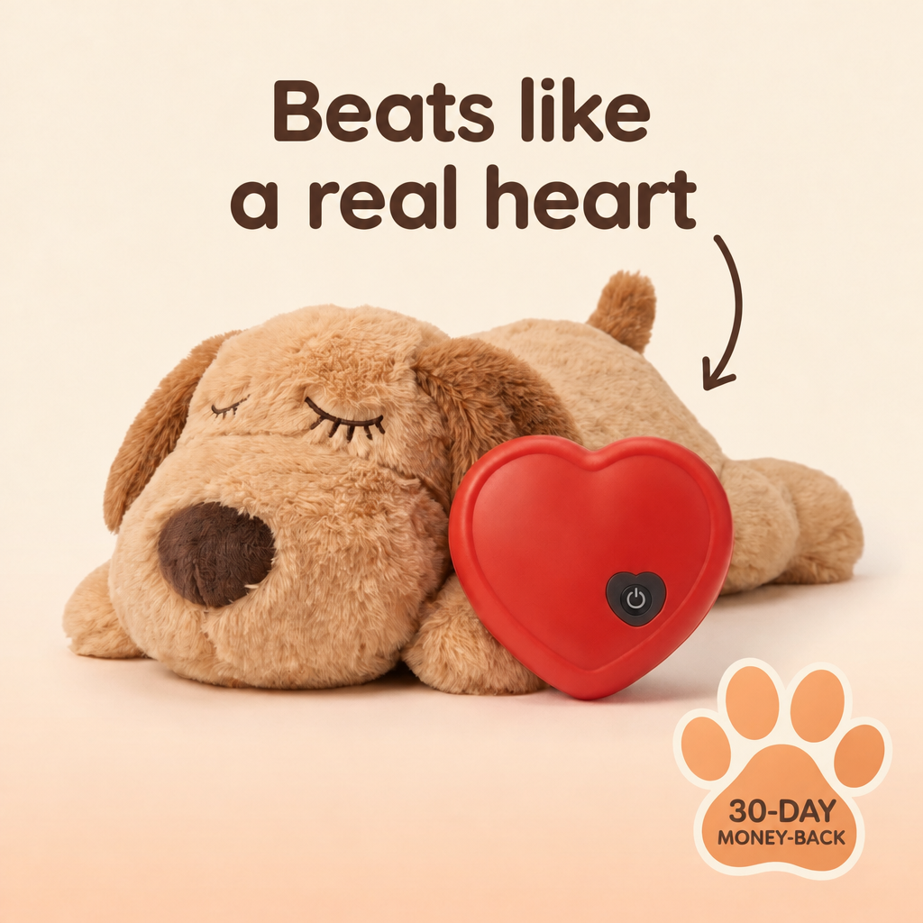 Heartbeat Puppy with its heartbeat module