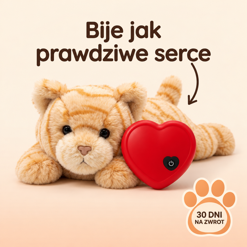 Koci Przytulak – towarzysz, gdy zostaje sam