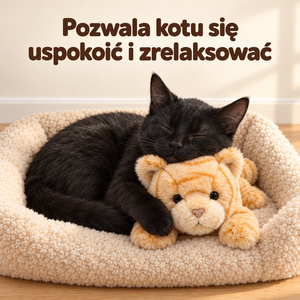 Kot wtulony w pluszaka