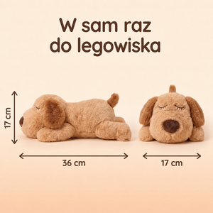 Wymiary pluszaka